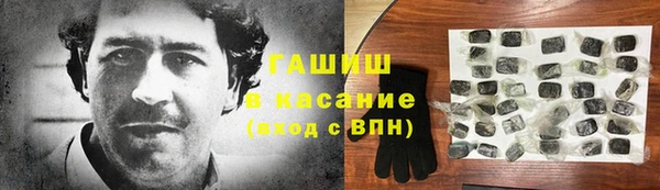индика Бронницы