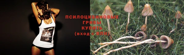 индика Бронницы