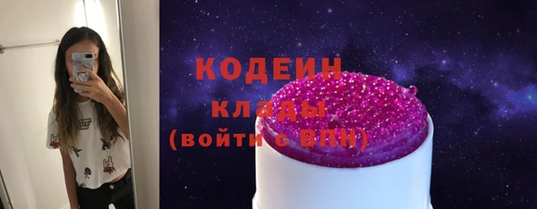 индика Бронницы