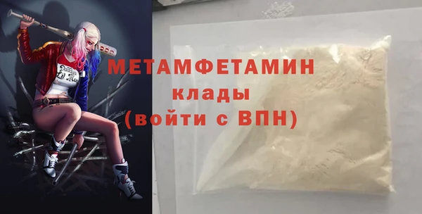 индика Бронницы