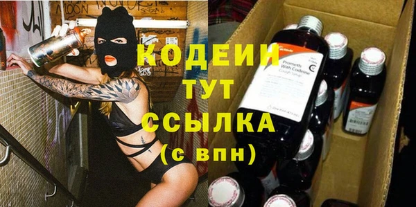 индика Бронницы