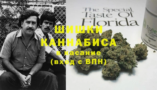 индика Бронницы