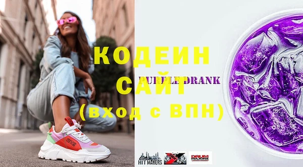 индика Бронницы