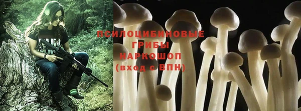 прущие крисы Богородицк