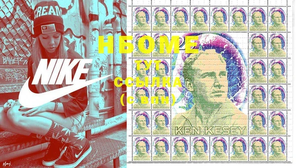 индика Бронницы