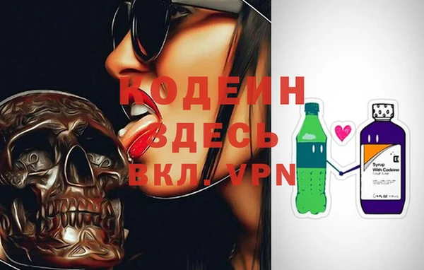 индика Бронницы